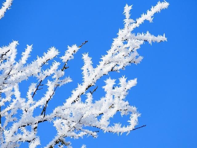 water crystals